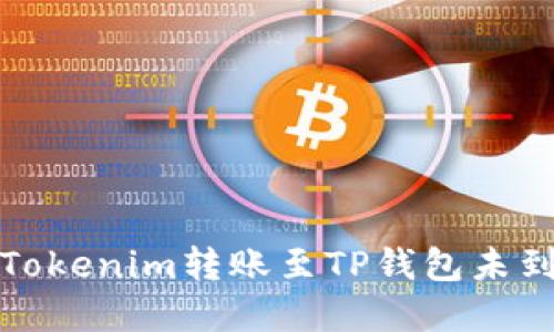如何解决Tokenim转账至TP钱包未到账的问题
