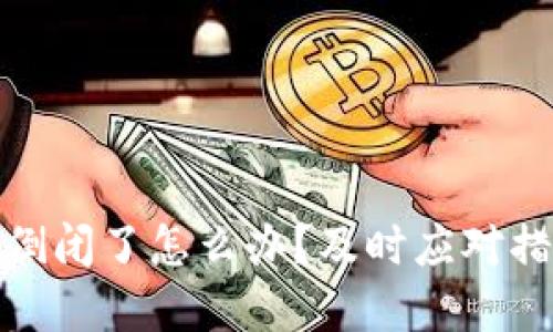 数字货币钱包倒闭了怎么办？及时应对措施与风险管理