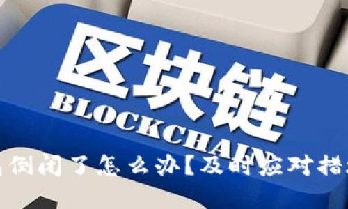 数字货币钱包倒闭了怎么办？及时应对措施与风险管理