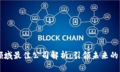 区块链领域最佳公司解析：引领未来的创新力量