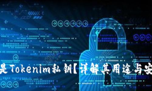 什么是Tokenim私钥？详解其用途与安全性