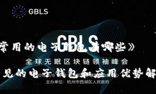 《常用的电子钱包有哪些》 

常见的电子钱包和应用优势解析