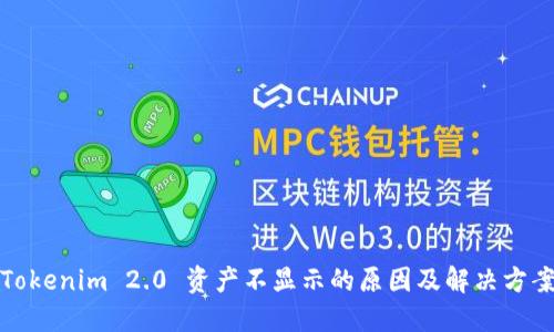 Tokenim 2.0 资产不显示的原因及解决方案