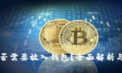虚拟币是否需要放入钱包？全面解析与安全指南