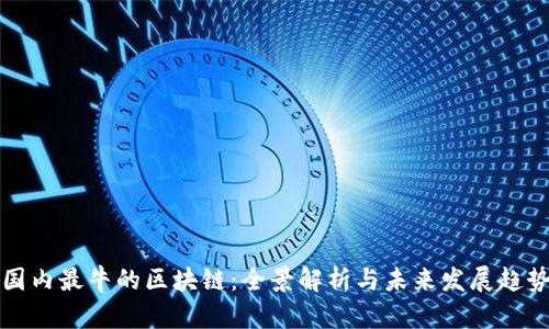 国内最牛的区块链：全景解析与未来发展趋势