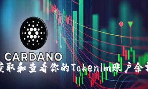 如何获取和查看你的Tokenim账户余额截图
