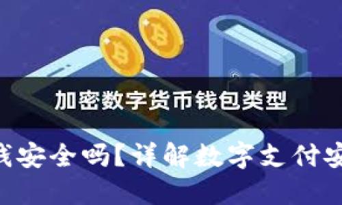 Tokenim收钱安全吗？详解数字支付安全性及风险
