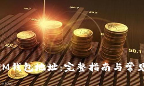 如何查看iM钱包地址：完整指南与常见问题解答