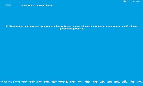 Tokenim会停止维护吗？深入解析未来发展与风险