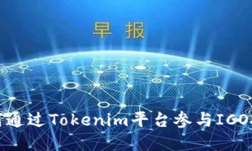 如何通过Tokenim平台参与ICO投资
