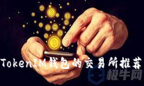 支持TokenTokenIM钱包的交易所推荐与使用指南