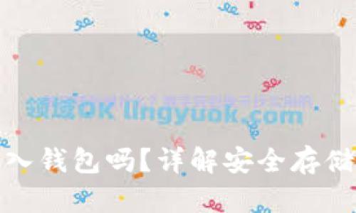 加密货币可以存入钱包吗?详解安全存储方法与最佳选择