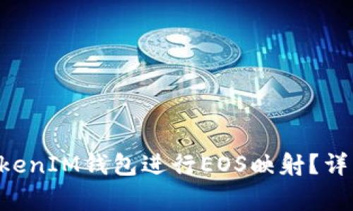 如何使用TokenTokenIM钱包进行EOS映射？详解步骤与注意事项