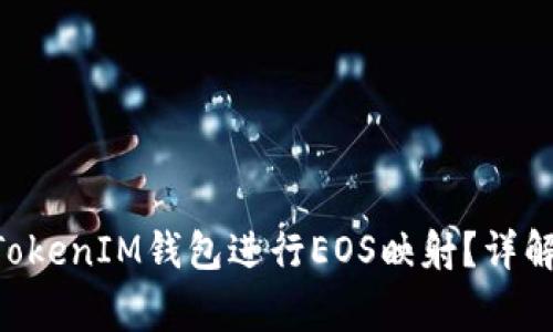 如何使用TokenTokenIM钱包进行EOS映射？详解步骤与注意事项