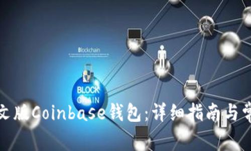 如何下载中文版Coinbase钱包：详细指南与常见问题解答