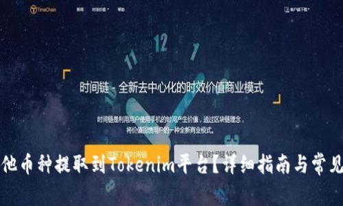 如何将其他币种提取到Tokenim平台？详细指南与常见问题解析