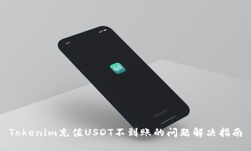 Tokenim充值USDT不到账的问题解决指南