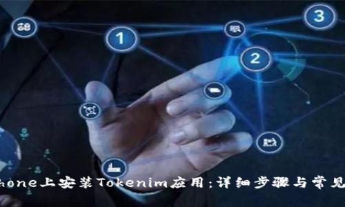 如何在iPhone上安装Tokenim应用：详细步骤与常见问题解答