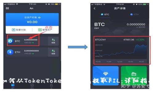 如何从TokenTokenim钱包提取FIL：详细指南