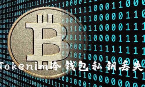 如何应对Tokenim冷钱包私钥丢失：完整指南