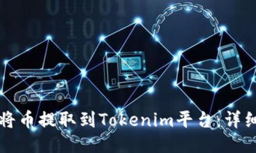 如何将币提取到Tokenim平台：详细指南