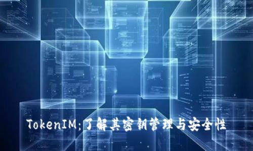 TokenIM：了解其密钥管理与安全性