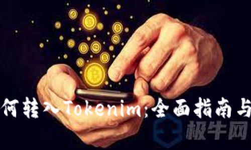 人民币如何转入Tokenim：全面指南与步骤解析