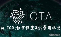 Tokenim ICO：如何设置Gas费用以交易效率