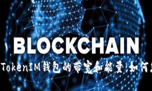 深入了解TokenTokenIM钱包的带宽和能量：如何您的区块链体验