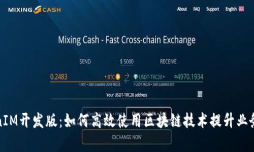 TokenIM开发版：如何高效使用区块链技术提升业务效率