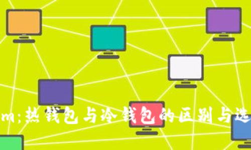 Tokenim：热钱包与冷钱包的区别与选择指南