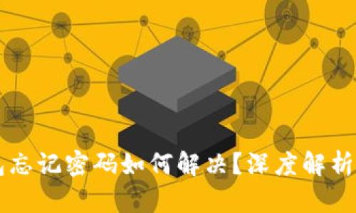 区块链钱包忘记密码如何解决？深度解析与实用指南