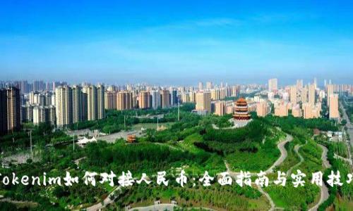 Tokenim如何对接人民币：全面指南与实用技巧