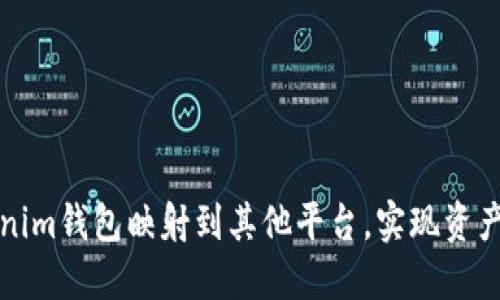 如何将Tokenim钱包映射到其他平台，实现资产安全与管理