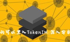 黑客是否真的可以黑入TokenIM：深入分析与安全防