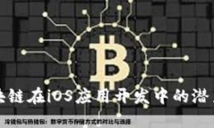 探索区块链在iOS应用开发中的潜力与实践