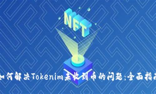 如何解决Tokenim未收到币的问题：全面指南