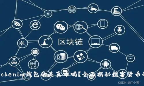 能转入Tokenim钱包的是真币吗？全面揭秘数字货币的安全性