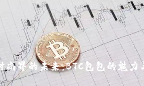 探索时尚界的未来：BTC包包的魅力与趋势