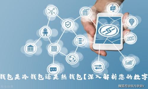 Tokenim钱包是冷钱包还是热钱包？深入解析您的数字资产安全