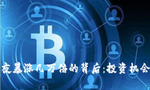 数字货币一夜暴涨几万倍的背后：投资机会与风险分析