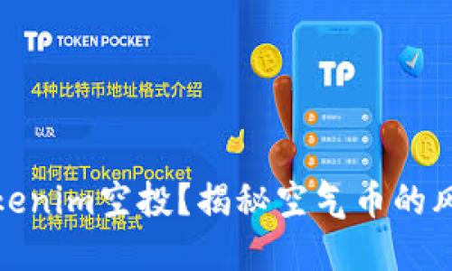 什么是Tokenim空投？揭秘空气币的风险与机会