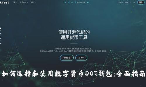 如何选择和使用数字货币DOT钱包：全面指南