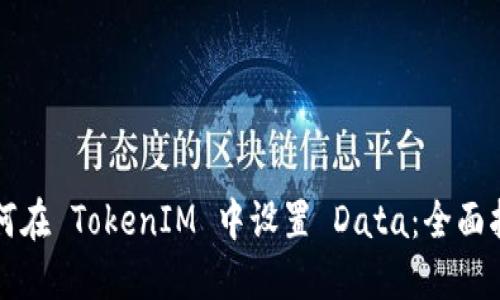 如何在 TokenIM 中设置 Data：全面指导