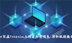 如何在Tokenim上创建加密钱包：详细视频教程