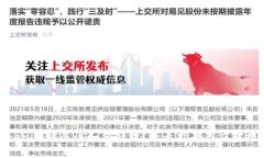 Tokenim被盗该如何处理？专业指南与应对措施