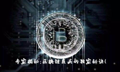 专家揭秘：区块链巨头的独家秘诀！