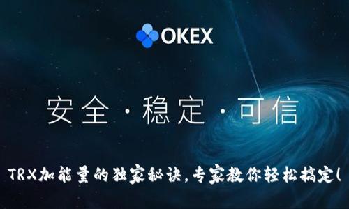 TRX加能量的独家秘诀，专家教你轻松搞定！