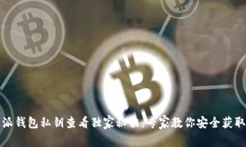 比特派钱包私钥查看独家秘诀：专家教你安全获取私钥