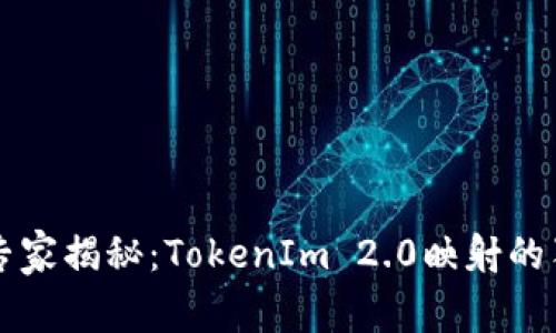 区块链专家揭秘：TokenIm 2.0映射的独家秘诀
